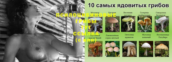 не бодяженный Абдулино